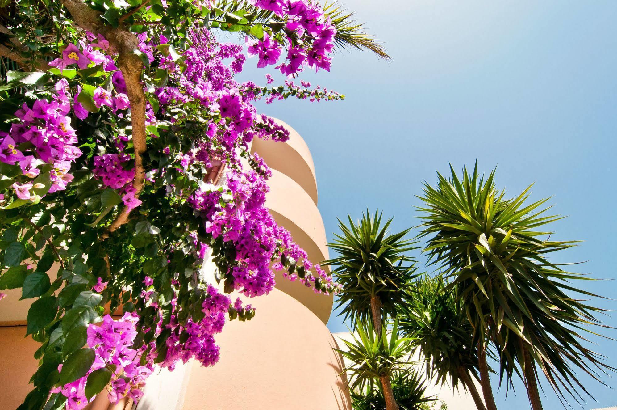 Apartamentos Estanques Colònia de Sant Jordi Exterior foto